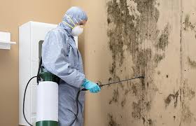 Best Industrial Mold Remediation  in San Joaquin, CA